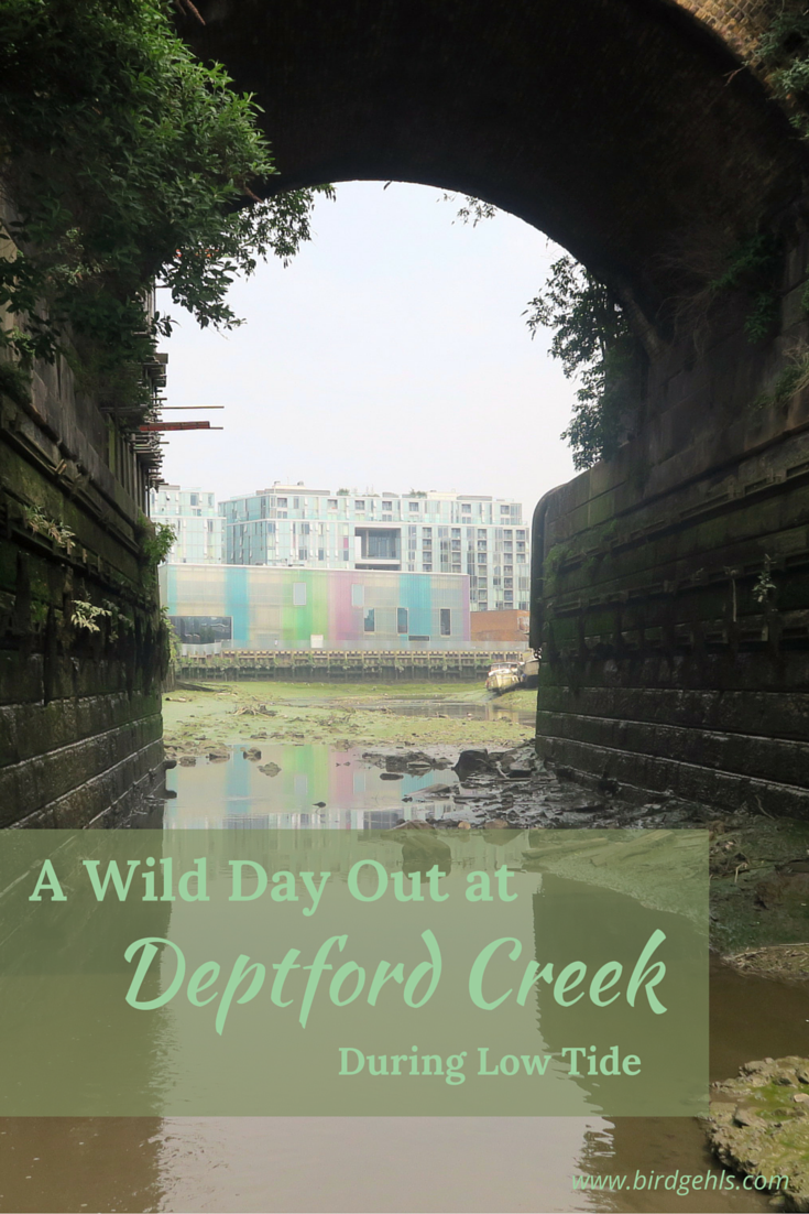 Twice a month, the Creekside Education Fund open their doors to those interested in exploring Deptford Creek during low tide, in all its muddy glory.