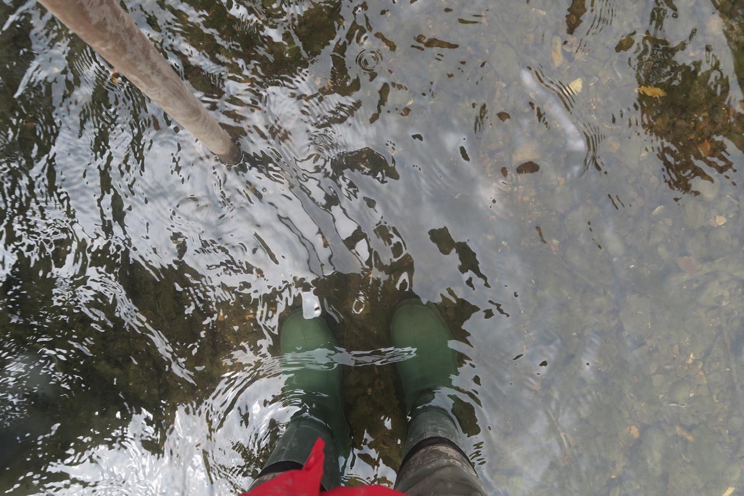 Twice a month, the Creekside Education Fund open their doors to those interested in exploring Deptford Creek during low tide, in all its muddy glory.
