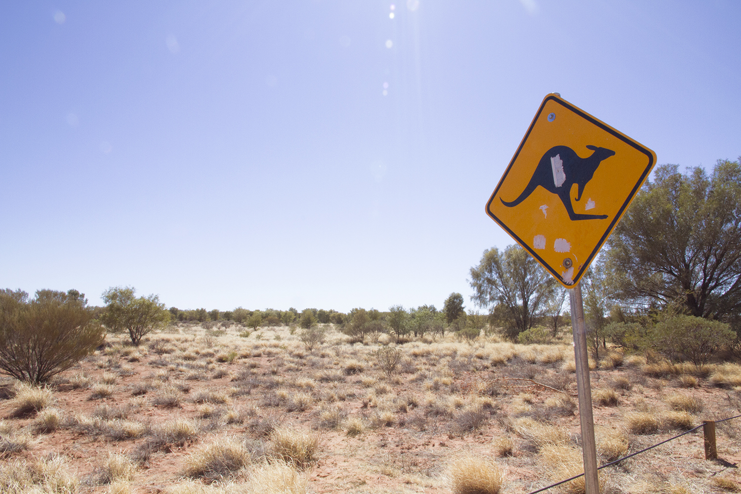kangaroo-sign