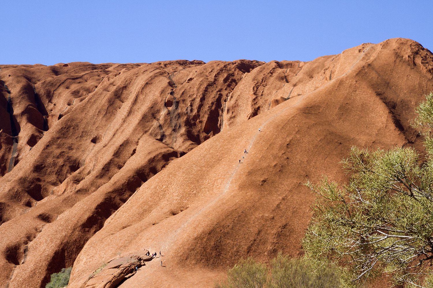 uluru-climb