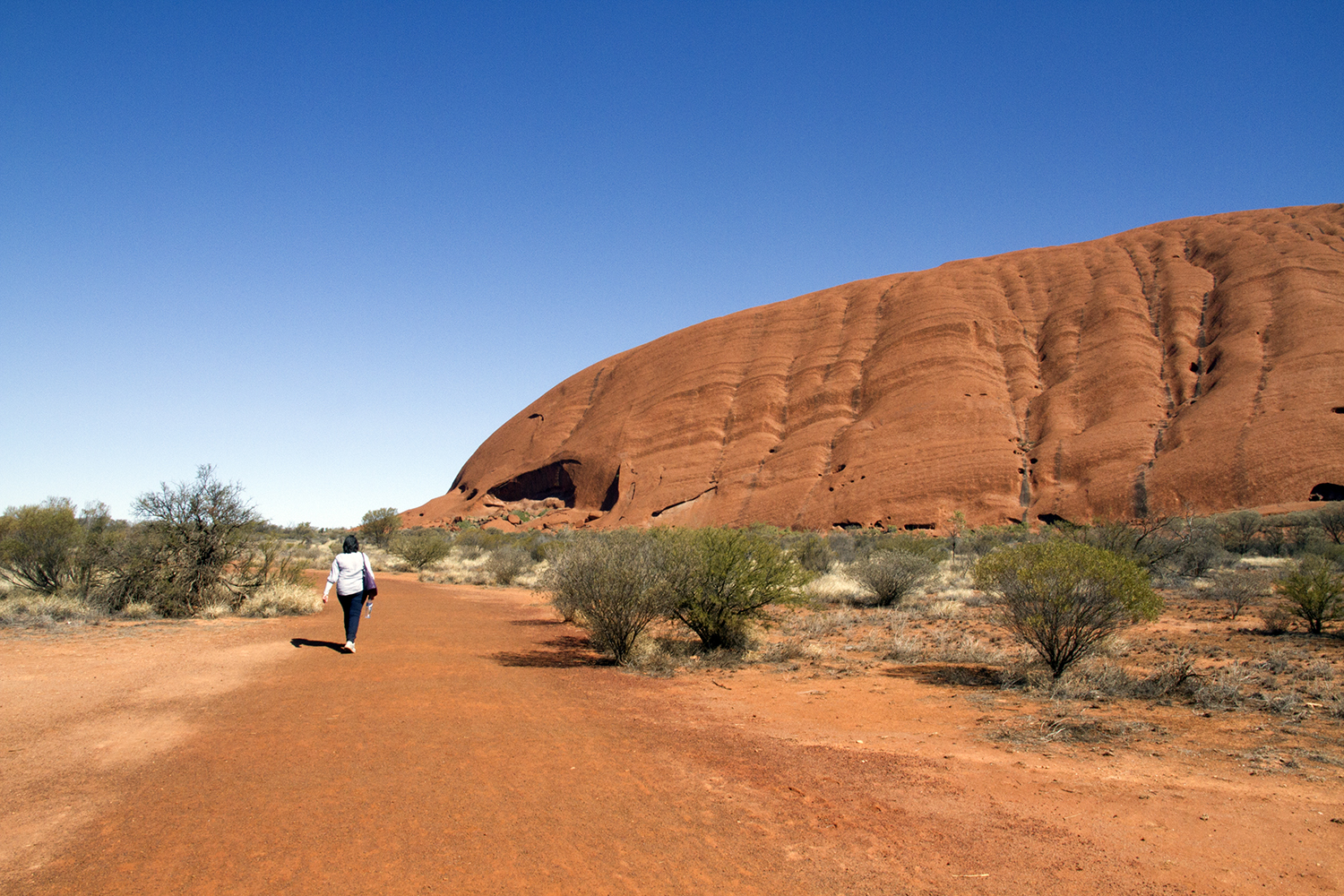 uluru4