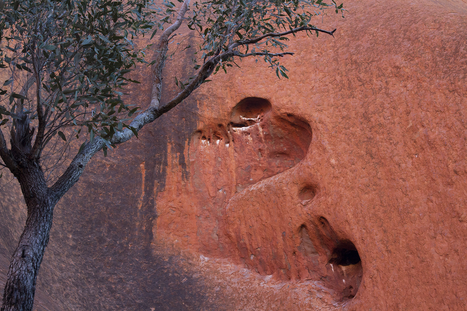uluru9
