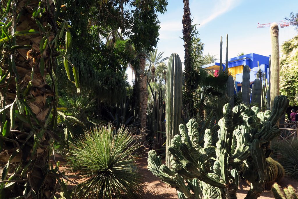 jardin de majorelle