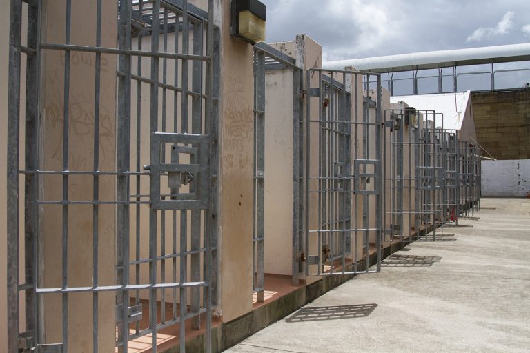 Bars and doors lining a cell block at Maitland Gaol. Discover what it's like to do a Maitland Gaol tour.