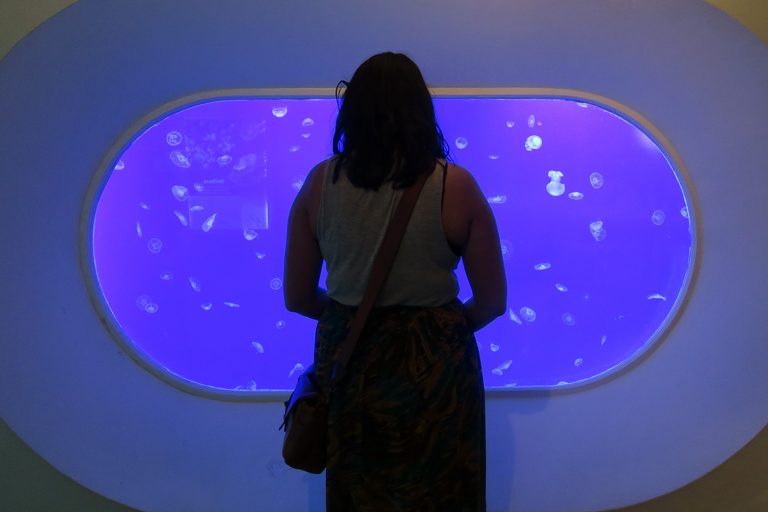 How the Quest For a “Niche” Almost Destroyed My Blog