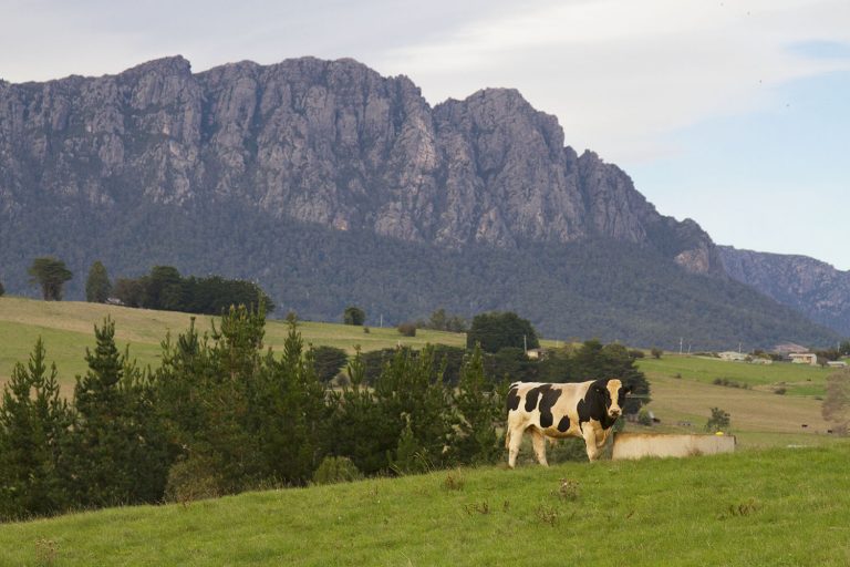 A Tasmanian Road Trip: 17 Highlights and Oddities