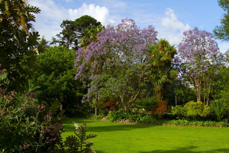 9 unmissable things to do in Moonee Ponds