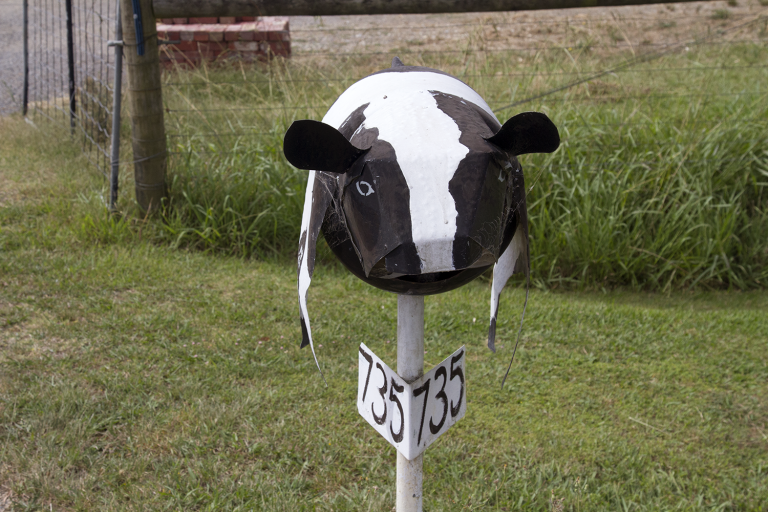 Letterbox outside Yarra Valley Dairy, shaped like a cow. Discover the best things to do in the Yarra Valley.