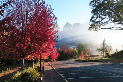 Autumn foliage outside Hepburn Bathhouse. Visiting this spa is one of the top things to do in Daylesford and Hepburn Springs.