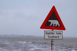 Things to do in Svalbard: 15 literally cool ideas