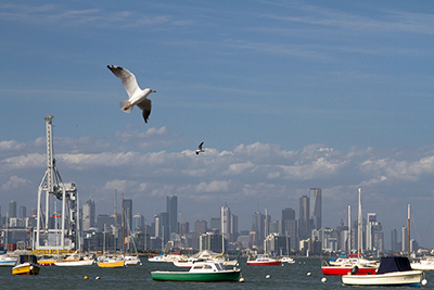 A seagull flies over brightly coloured boats in Williamstown, one of the best places to stay in Melbourne.