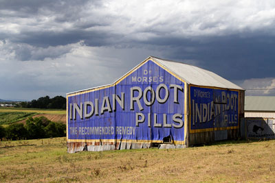 An old shed sits against a stormy backdrop. Text on the shed reads: 'Dr Morse's Indian Root Pills, The Recommended Remedy'. Ogling this shed is on of the many unique things to do in Maitland, NSW.