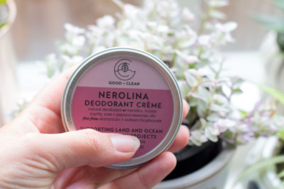 A hand holding a cream natural deodorant, in front of a plant. Discover the best eco-friendly travel products for your adventures.