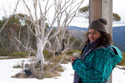 Alpine Nature Experience: Glamping at Mt Hotham