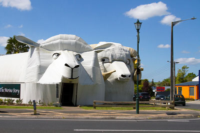 The Tirau sheep heads, which looks rather sheepishly at each other. This town makes for a fun stop on your New Zealand North Island itinerary.