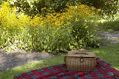 A mystery picnic date in Melbourne with AmazingCo