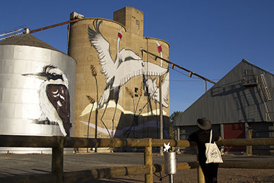 Tungamah silo, one of the silos of Victoria's North East Silo Art Trail.