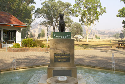 Close up of the Dog on the Tuckerbox monument just outside of Gundagai. Viewing this sculpture is one of the top things to do in Gundagai.