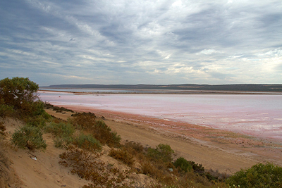 Hutt Lagoon, a massive pink lake in Western Australia. Discover the best sights to see on a Perth to Kalbarri road trip.